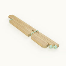 Load image into Gallery viewer, Dragonfly Laptop Stand, Minty Green