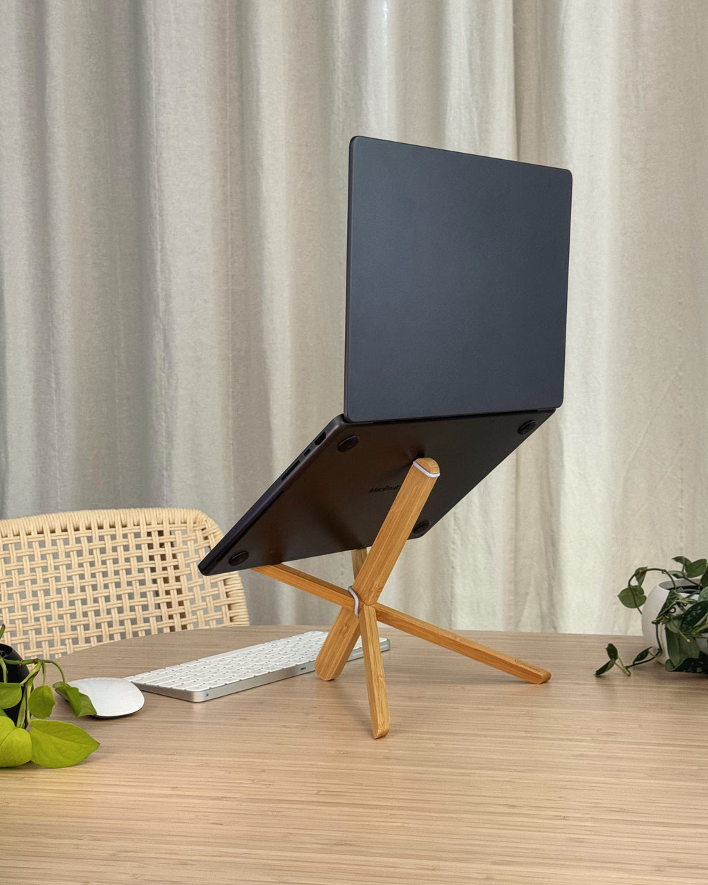 Dragonfly Laptop Stand, Sky Blue