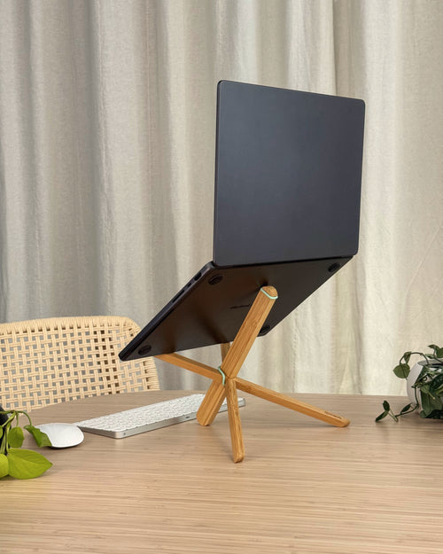 Dragonfly Laptop Stand, Minty Green