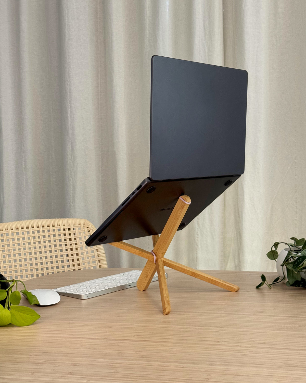 Dragonfly Laptop Stand, Blooming Lilac